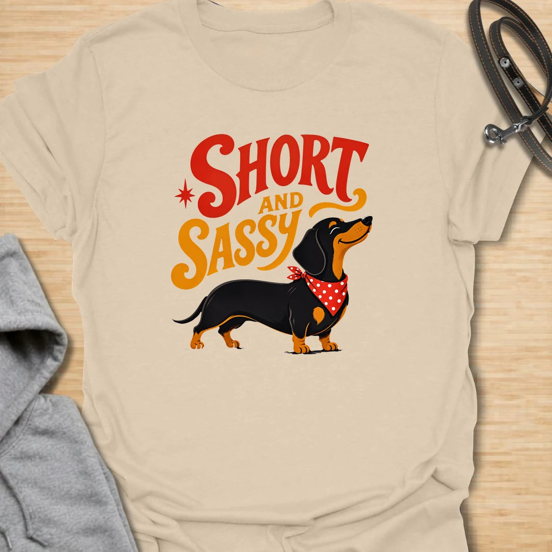 Short and Sassy Dachshund t-shirt for dog lovers who know tiny legs can come with huge personality. This fun retro design features a confident wiener dog with bold vintage lettering, perfect for dachshund owners with a sense of humor. A great gift for dachshund moms, doxie dads, sausage dog fans, and anyone who loves their little dog’s big attitude.