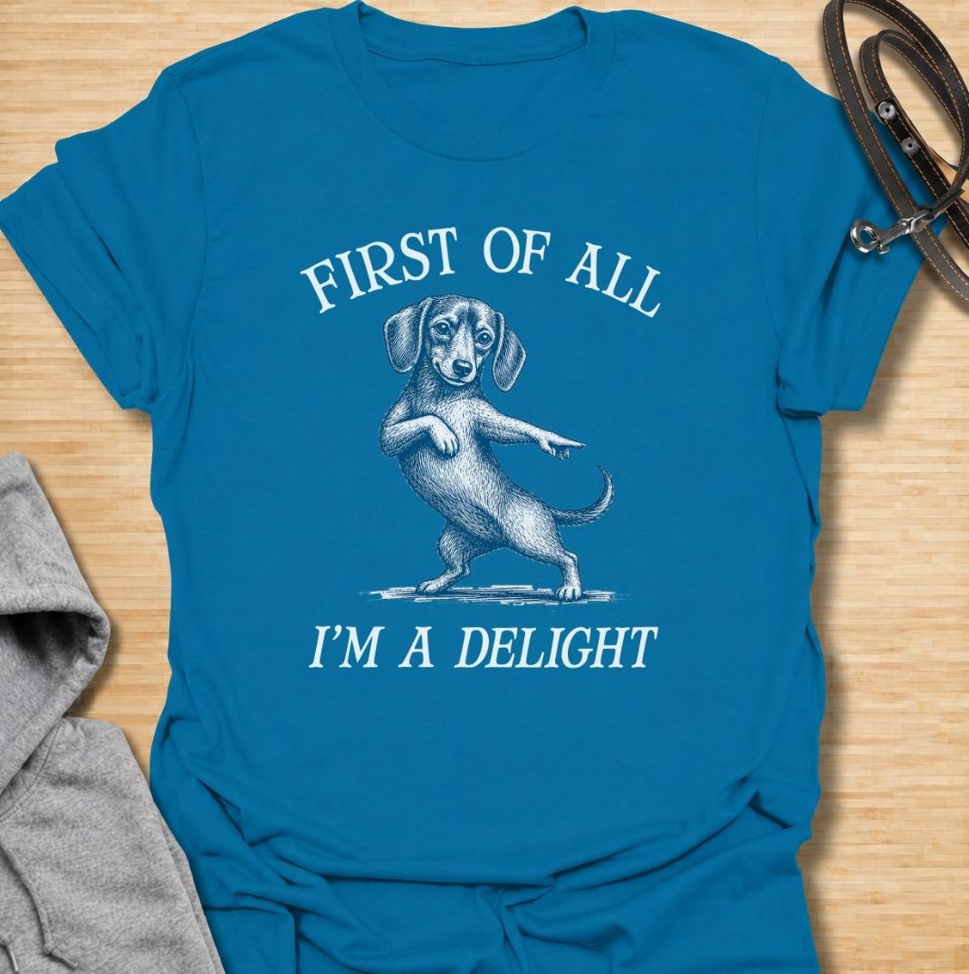First of all, I’m a delight. A funny dachshund T-shirt for sausage dog owners who know their little troublemaker is charming enough to get away with anything.