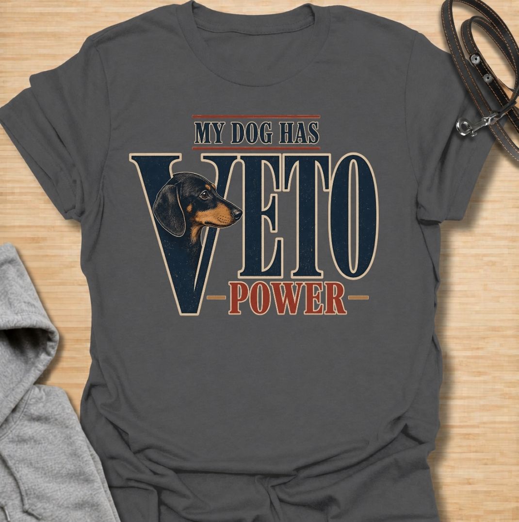 Veto Power T-Shirt