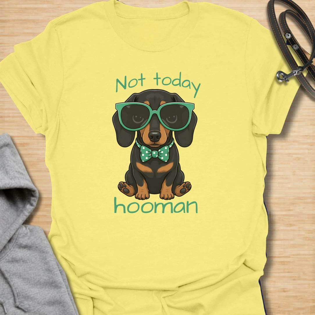 Not Today Hooman t-shirt for dachshund lovers who know their dog has strong boundaries and an even stronger personality. This cute black and tan dachshund design features oversized sunglasses, a bow tie, and the phrase “Not Today Hooman.” Perfect for doxie moms, sausage dog owners, and anyone who loves funny dog attitude shirts.