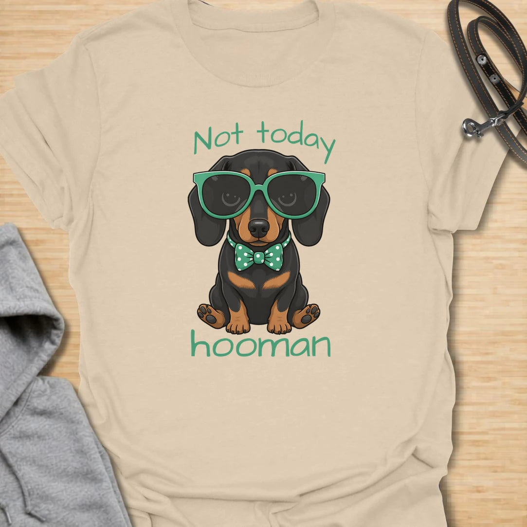 Not Today Hooman t-shirt for dachshund lovers who know their dog has strong boundaries and an even stronger personality. This cute black and tan dachshund design features oversized sunglasses, a bow tie, and the phrase “Not Today Hooman.” Perfect for doxie moms, sausage dog owners, and anyone who loves funny dog attitude shirts.