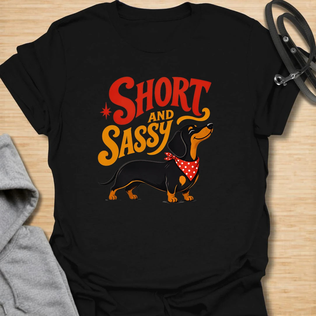 Short and Sassy Dachshund t-shirt for dog lovers who know tiny legs can come with huge personality. This fun retro design features a confident wiener dog with bold vintage lettering, perfect for dachshund owners with a sense of humor. A great gift for dachshund moms, doxie dads, sausage dog fans, and anyone who loves their little dog’s big attitude.
