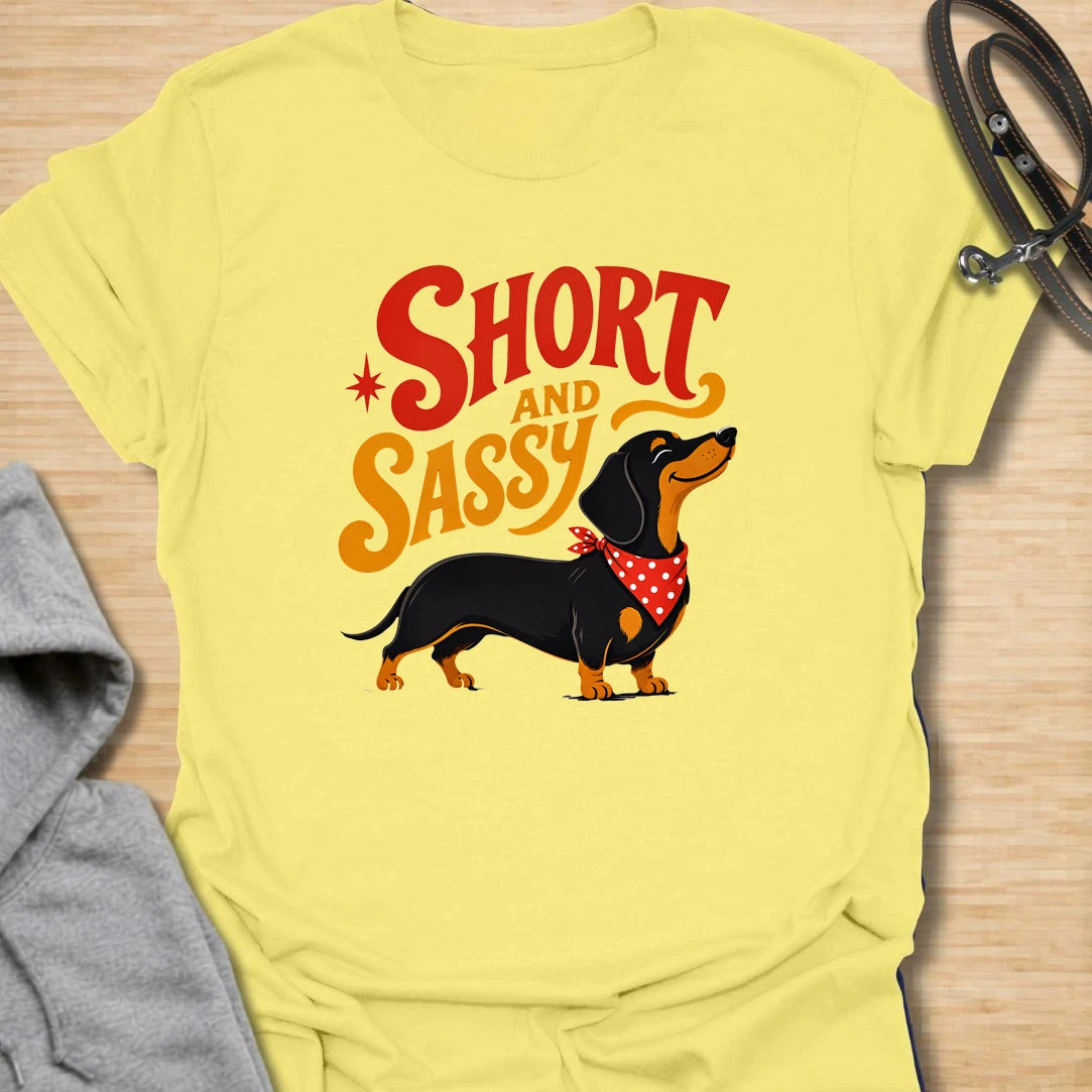 Short and Sassy Dachshund t-shirt for dog lovers who know tiny legs can come with huge personality. This fun retro design features a confident wiener dog with bold vintage lettering, perfect for dachshund owners with a sense of humor. A great gift for dachshund moms, doxie dads, sausage dog fans, and anyone who loves their little dog’s big attitude.