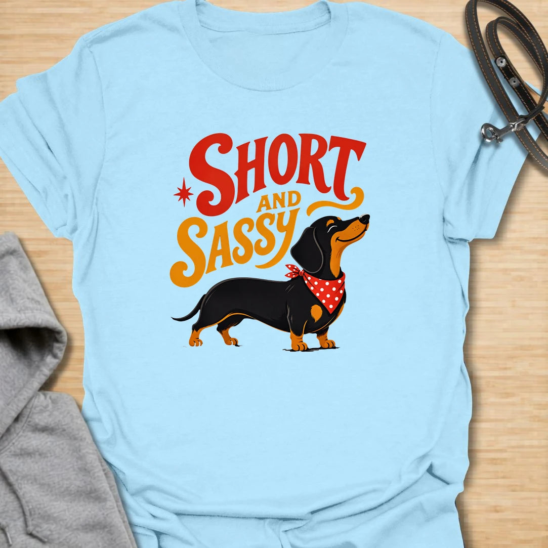 Short and Sassy Dachshund t-shirt for dog lovers who know tiny legs can come with huge personality. This fun retro design features a confident wiener dog with bold vintage lettering, perfect for dachshund owners with a sense of humor. A great gift for dachshund moms, doxie dads, sausage dog fans, and anyone who loves their little dog’s big attitude.