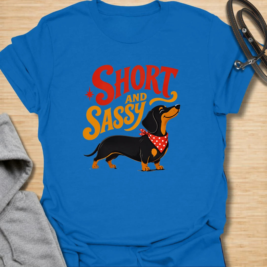 Short and Sassy Dachshund t-shirt for dog lovers who know tiny legs can come with huge personality. This fun retro design features a confident wiener dog with bold vintage lettering, perfect for dachshund owners with a sense of humor. A great gift for dachshund moms, doxie dads, sausage dog fans, and anyone who loves their little dog’s big attitude.