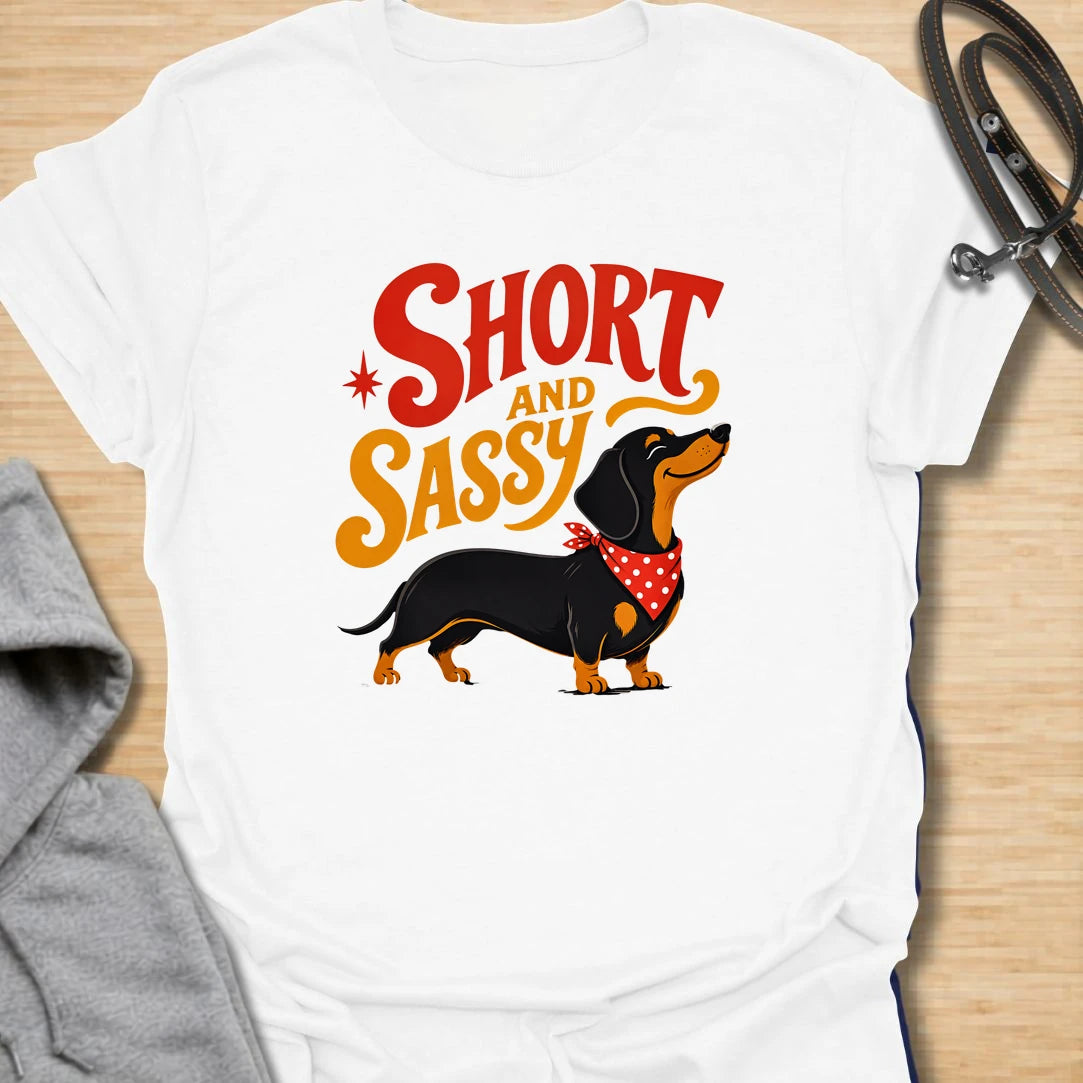 Short and Sassy Dachshund t-shirt for dog lovers who know tiny legs can come with huge personality. This fun retro design features a confident wiener dog with bold vintage lettering, perfect for dachshund owners with a sense of humor. A great gift for dachshund moms, doxie dads, sausage dog fans, and anyone who loves their little dog’s big attitude.